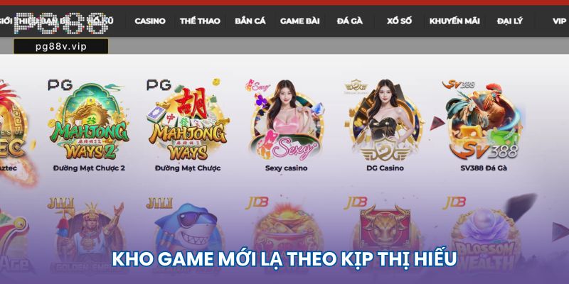 Khám Phá Review Du Lịch Cát Bà Tự Túc Bí Quyết Chiến Thắng Và Giải Trí
